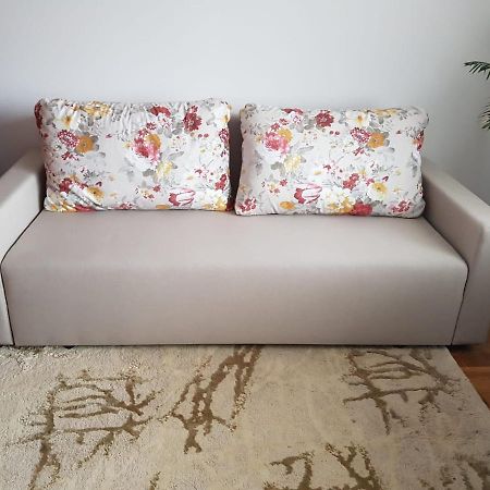 Petroşani Garsoniera Mihaela 아파트 외부 사진