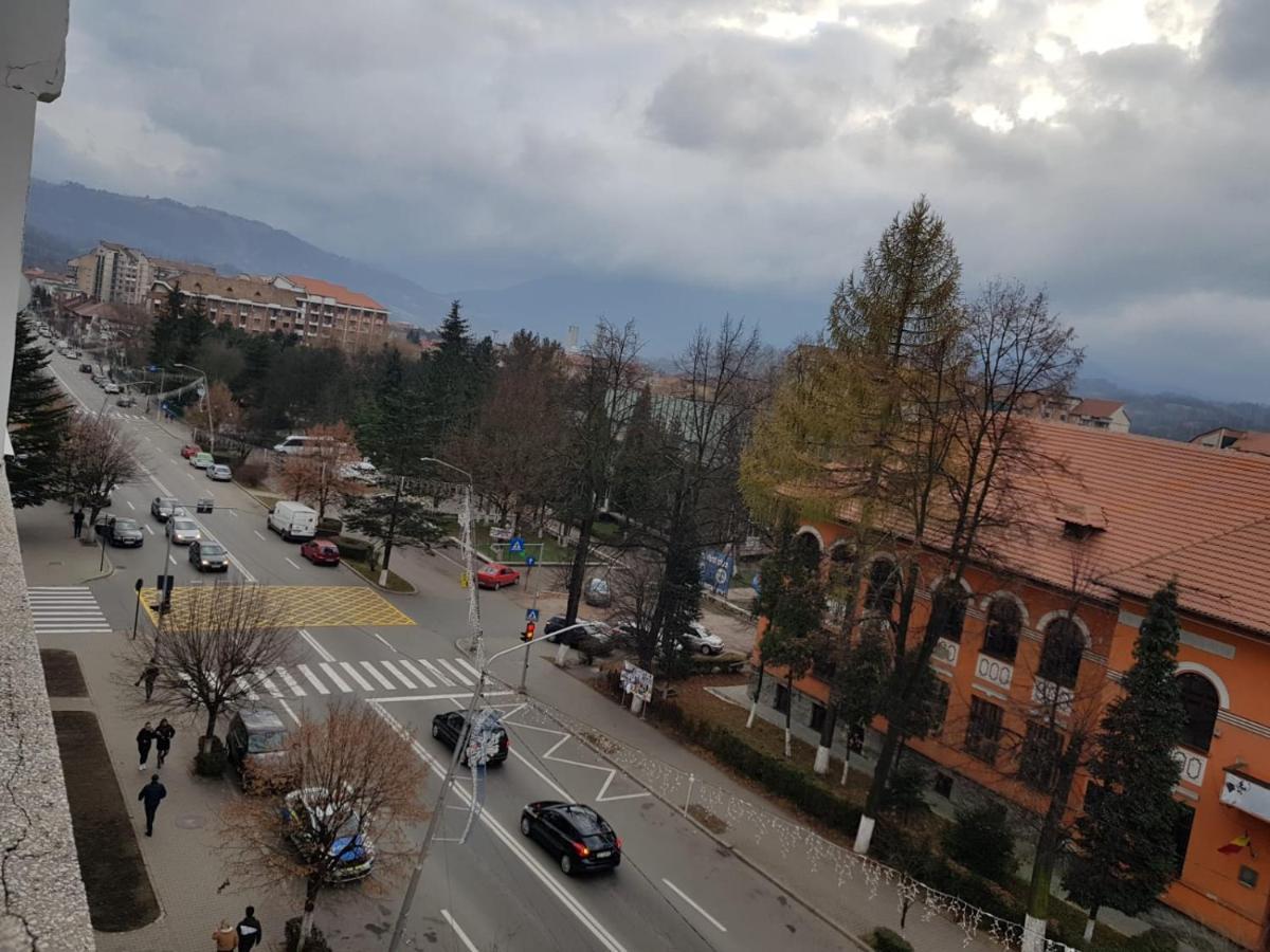 Petroşani Garsoniera Mihaela 아파트 외부 사진