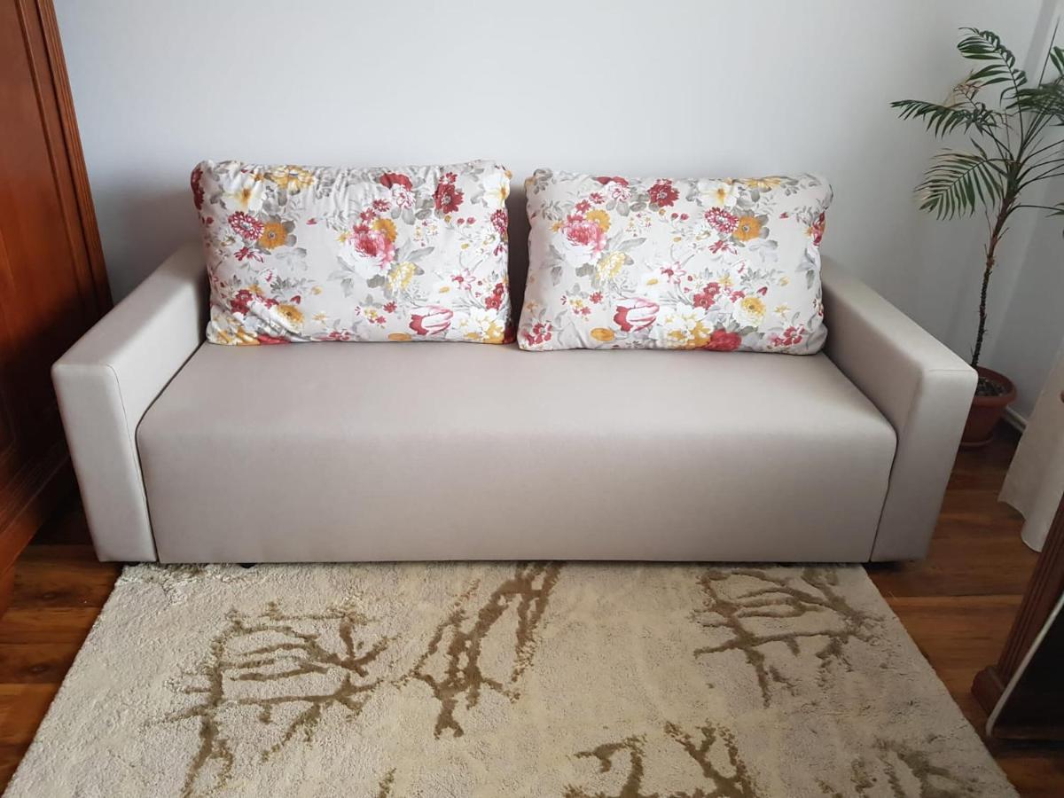 Petroşani Garsoniera Mihaela 아파트 외부 사진