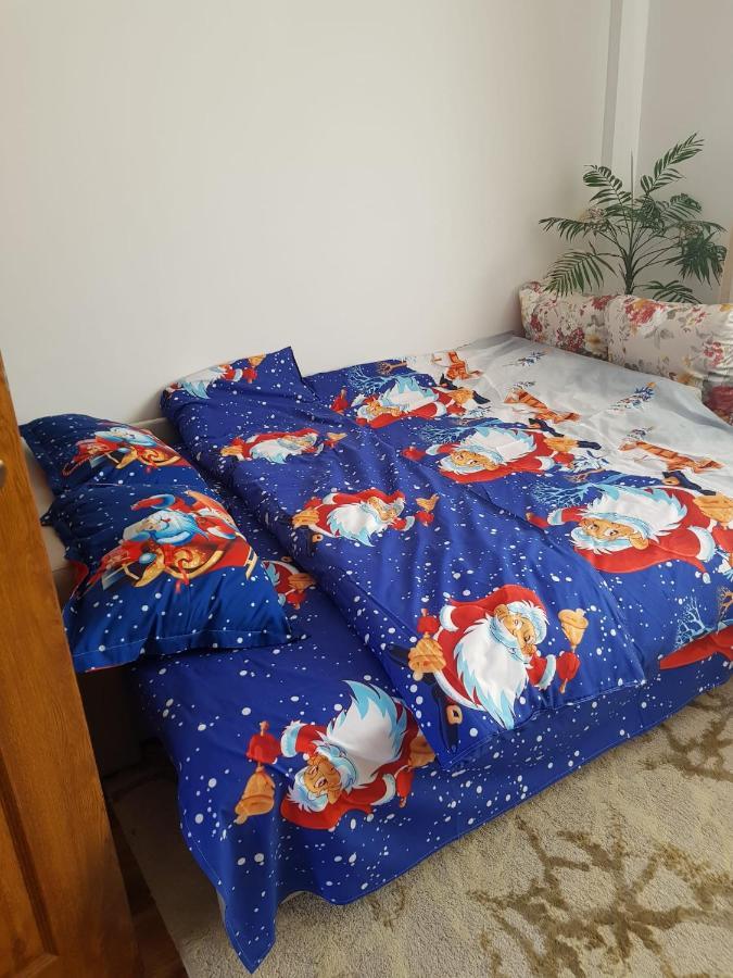 Petroşani Garsoniera Mihaela 아파트 외부 사진